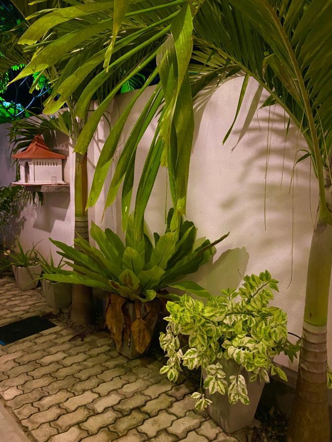 Guesthouse Bodensee Hikkaduwa Exterior photo
